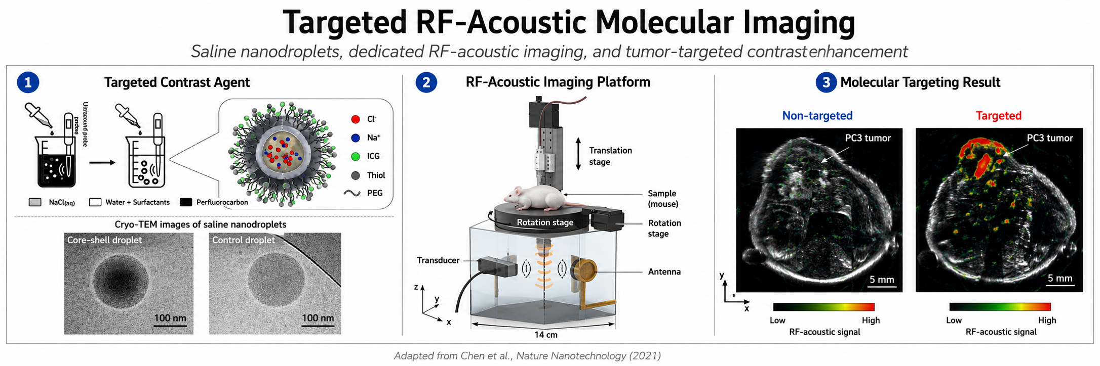 Targeted radiofrequency-acoustic molecular imaging at Stanford